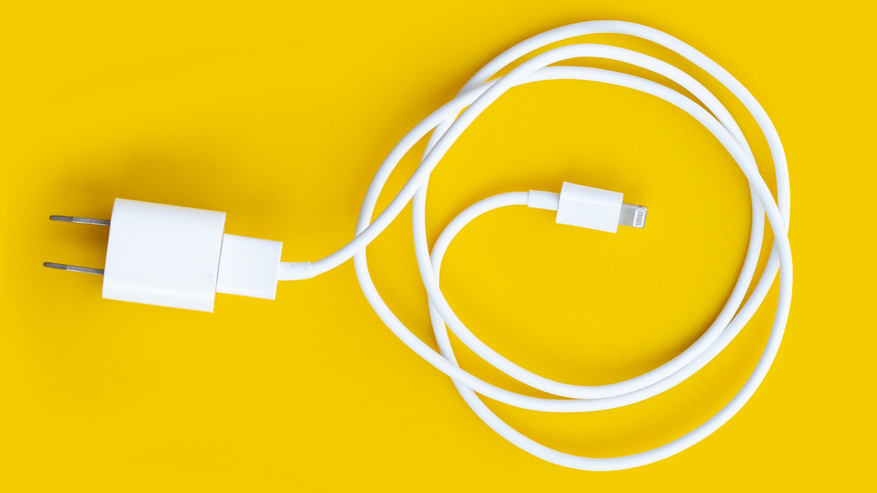 iPhone Original Charger